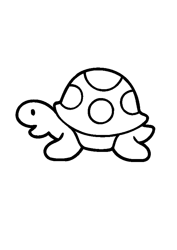 Coloriage tortue 23